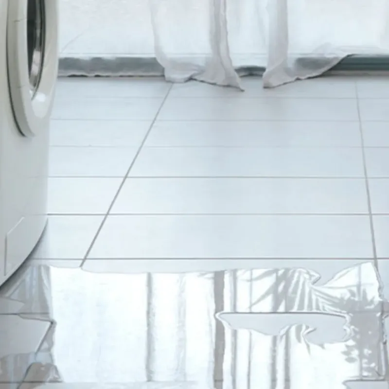 Appliance Leak Cleanup in Baldwin City, KS