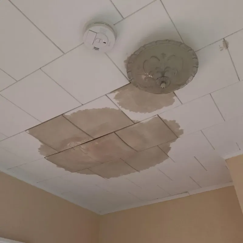 Ceiling Water Damage Repair in Baldwin City, KS
