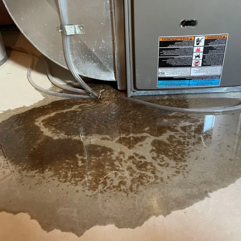 Pipe Burst and Leak Restoration in Baldwin City, KS