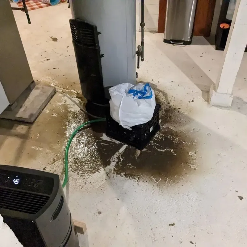 Sewage Backup Cleanup Service in Baldwin City, KS